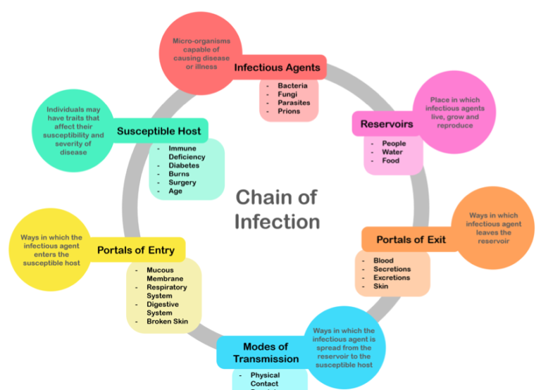 four-main-sources-of-infection-transmission-in-the-workplace-hp-training-hub