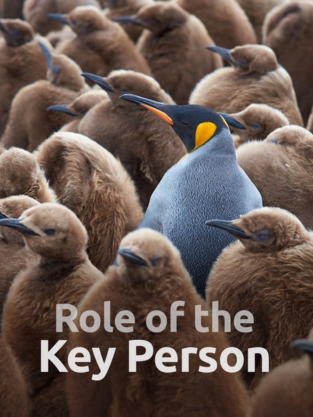 Role of the Key Person (EYFS) – HP Training Hub