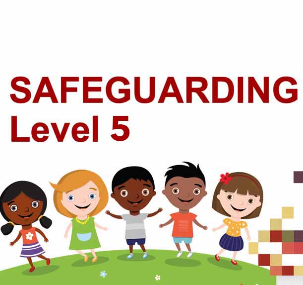 Safeguarding Level 5 – HP Training Hub